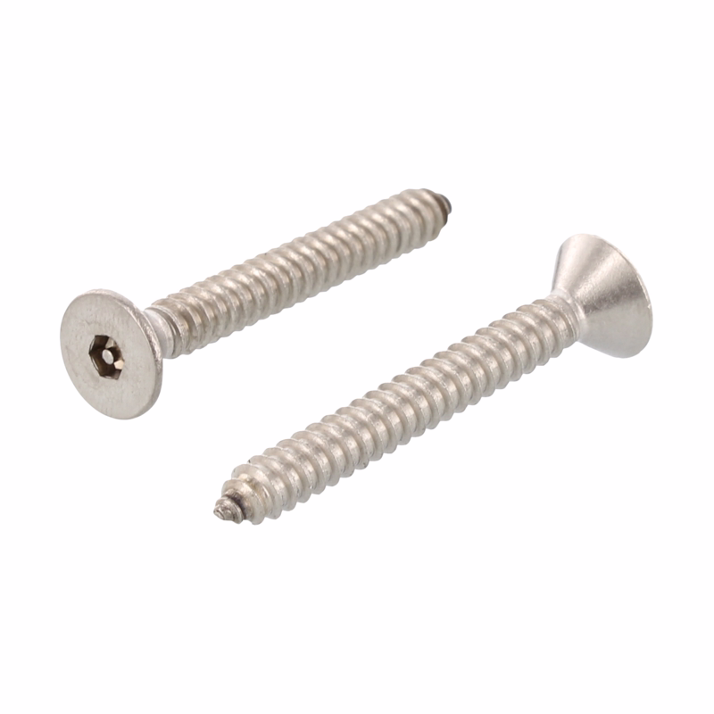 Sikkerhedsskrue 9112 A2 C 4,2X38 ISK-PIN 2,5