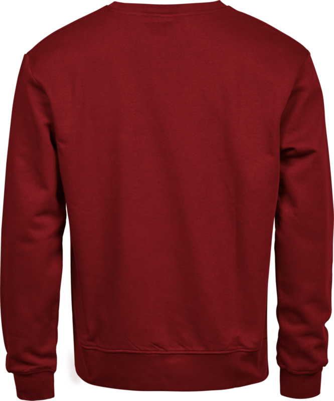 Sweatshirt Power 5100 Red, str. M