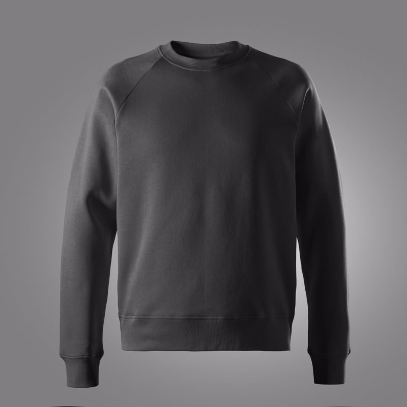Sweatshirt 2020 Koksgrå, str. S