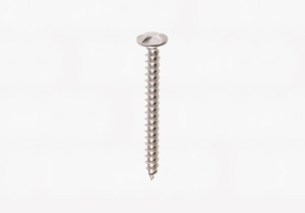  - Envejsskrue Rustfri A2