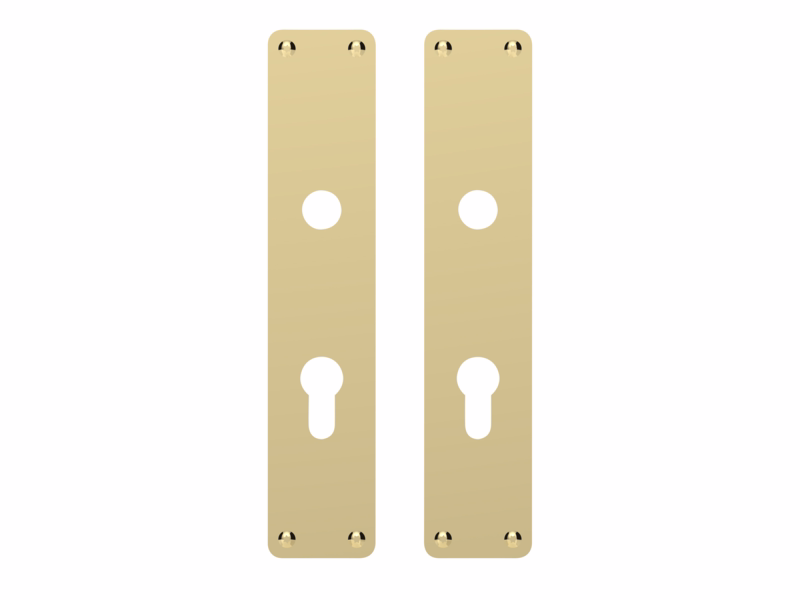 Langskilte mess 220x45x2mm cyl Euro cc92mm P3210.92