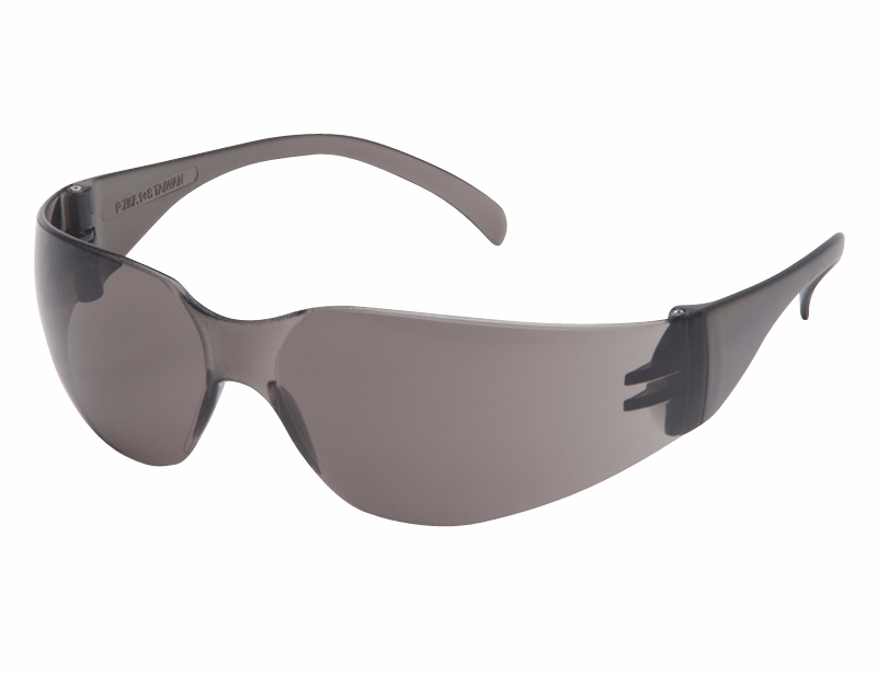 Sikkerhedsbrille Intruder Grå