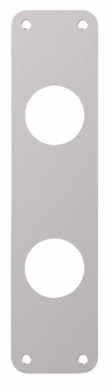 Langskilt RS 250x60x2mm 2xØ40 cc105mm 7330.08HA