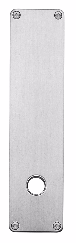 Langskilt RS 215x55x2mm glat Assa 7320.00H