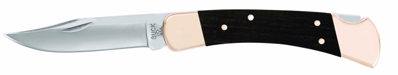 Kniv Folding Hunter©