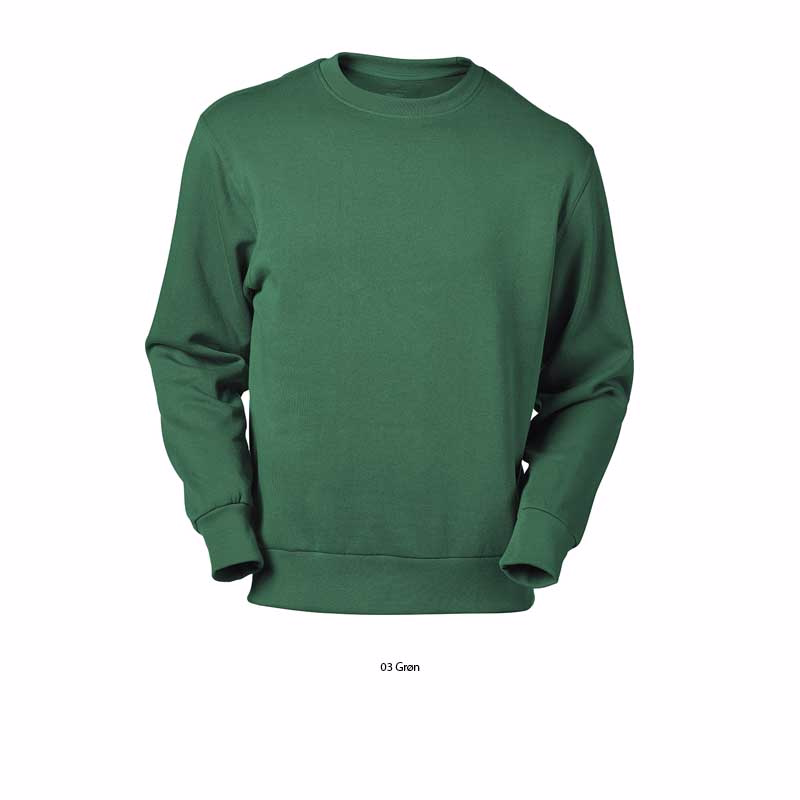 Sweatshirt Carvin Grøn Str. L