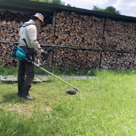 Makita - Buskrydder 40V UR012GZ02, Solo