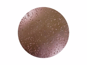 Multi Slib - Sliberondel Carbide Ø200mm